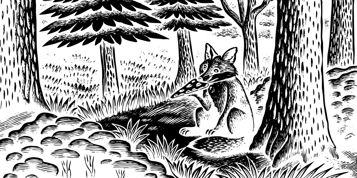 Fox Pizza preview